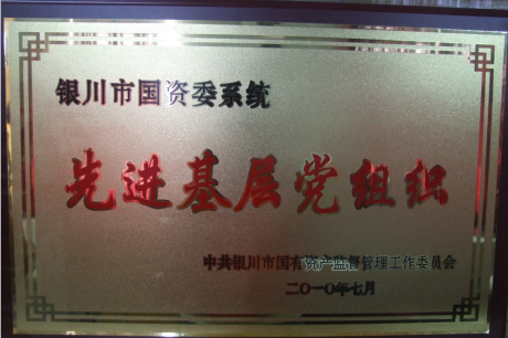 银川市国资委系统先进基层党组织